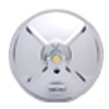 rg Logo